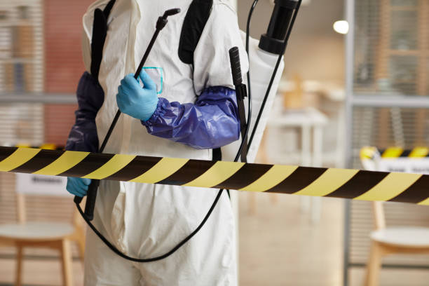 Professional Sewage Cleanup technician working in Lena, WI